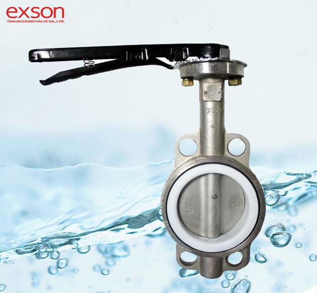 316 Butterfly Valve